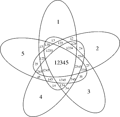 5-VD-ellipses-labelled.gif